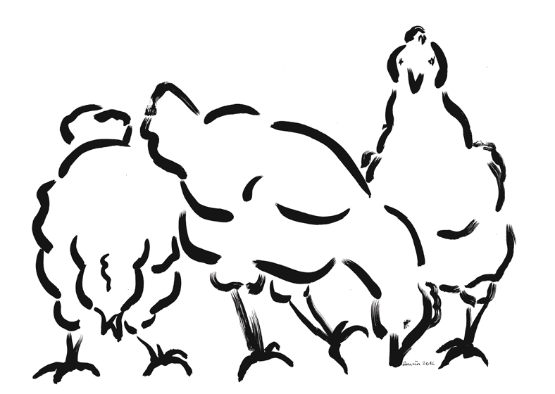 Zeichnung von drei Hennen