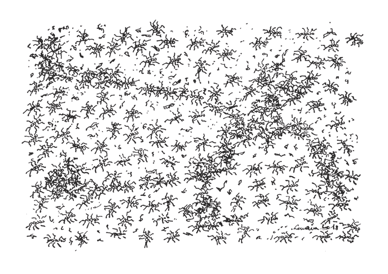 Zeichnung von Ameisen