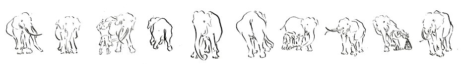 Leporello of Elephant drawings