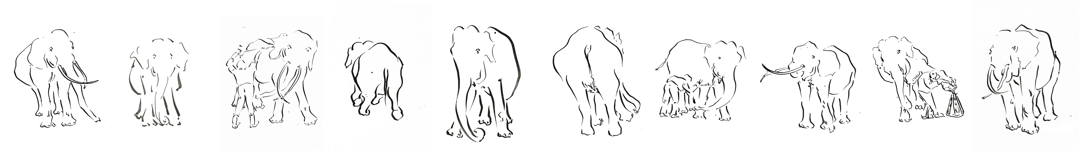 Leporello elephants